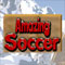 Amazing Soccer