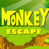 Monkey Escape