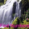 Find Numbers - Landscapes