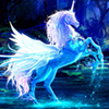 Hidden Stars Pegasus